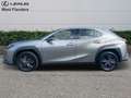 Lexus UX 250h Business Line+cam+nav+sens V&A Goud - thumbnail 5
