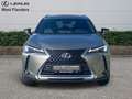 Lexus UX 250h Business Line+cam+nav+sens V&A Goud - thumbnail 2