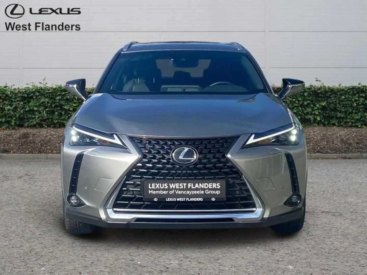 Lexus UX 250h Business Line+cam+nav+sens V&A Goud - 2