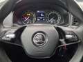 Skoda Karoq Active 1.0 TSI + WInterpaket+PDC Bleu - thumbnail 11