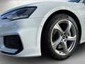 Audi A6 Lim. sport 50 TFSI e quattro S tronic *SOH98% Weiß - thumbnail 5
