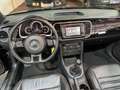 Volkswagen Beetle 50 S Design Edition/Leder/Scheckh/Klima Schwarz - thumbnail 15
