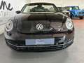 Volkswagen Beetle 50 S Design Edition/Leder/Scheckh/Klima Schwarz - thumbnail 4