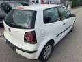 Volkswagen Polo 1.2 Trendline Weiß - thumbnail 5