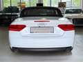 Audi A5 Cabriolet 3.0 TDI Quattro Sitzbelüftung Navi Weiß - thumbnail 8