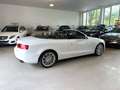 Audi A5 Cabriolet 3.0 TDI Quattro Sitzbelüftung Navi Weiß - thumbnail 10