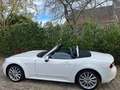 Fiat 124 Spider 124 Spider 1.4 MultiAir Білий - thumbnail 14
