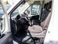 Fiat Ducato 35 L4H2 180 verstärkt+260Grad+Kamera+PDC+Kl Weiß - thumbnail 8