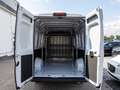 Fiat Ducato 35 L4H2 180 verstärkt+260Grad+Kamera+PDC+Kl Weiß - thumbnail 18