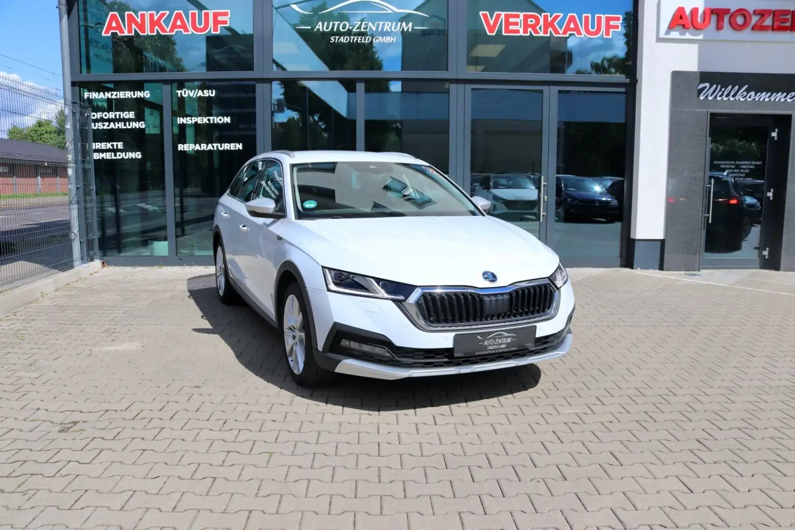 Skoda Octavia Combi Scout 4x4 AHK LED Standheizung Alb - 1