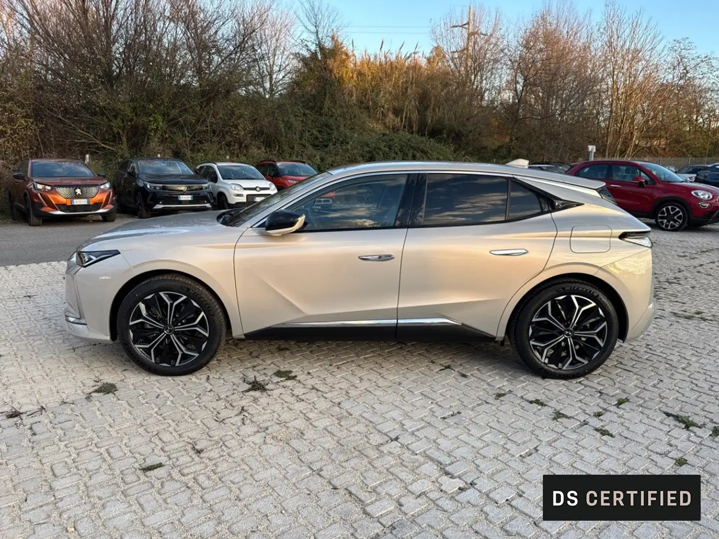 DS Automobiles DS 4 E-Tense 225 Rivoli Grau - 2