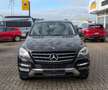 Mercedes-Benz ML 350 CDI BlueTec AHK Xenon PDC Navi Schwarz - thumbnail 2
