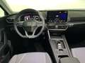 SEAT Leon 2.0 tdi business 150cv dsg - thumbnail 3