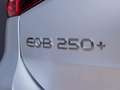 Mercedes-Benz EQB 250 250+ AMG Line LIMITED Panorama dak Gris - thumbnail 9
