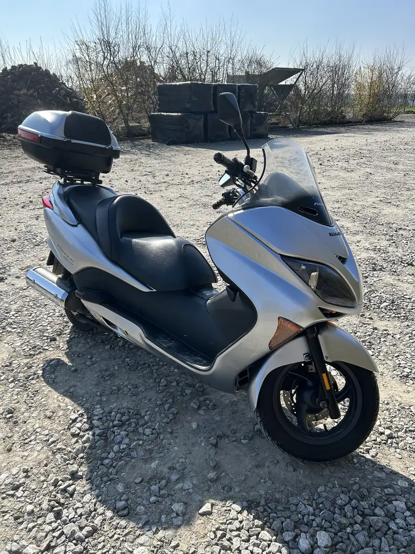 Honda Forza 250 - 2