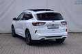 Ford Kuga Kuga 2.5 Duratec Plug-in-Hybrid PHEV ST-Line X Weiß - thumbnail 32