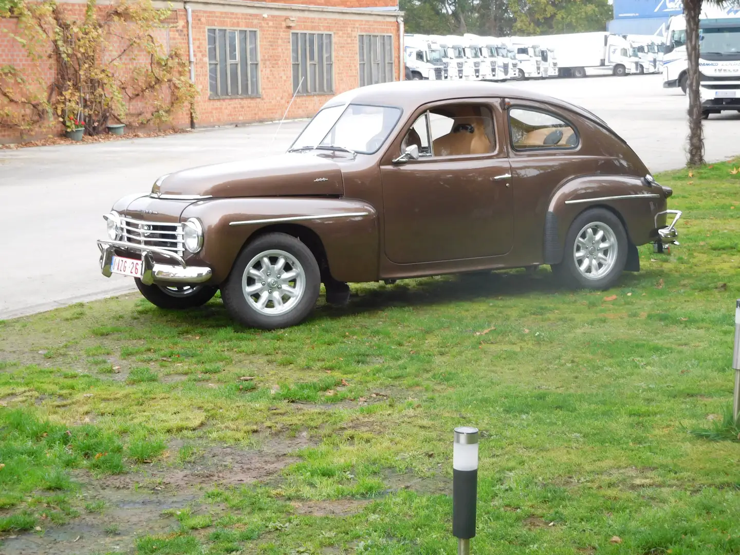 Volvo PV544 autres Bronze - 1