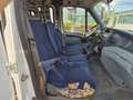 Iveco Daily 29L 12;D; 29L 12/P; D/P Weiß - thumbnail 11