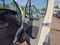 Iveco Daily 29L 12;D; 29L 12/P; D/P Weiß - thumbnail 13