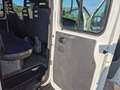 Iveco Daily 29L 12;D; 29L 12/P; D/P Weiß - thumbnail 12