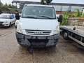 Iveco Daily 29L 12;D; 29L 12/P; D/P Weiß - thumbnail 1