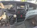 Iveco Daily 29L 12;D; 29L 12/P; D/P Weiß - thumbnail 8