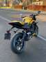 Triumph Street Triple RS (garantie 36 mois) Galben - thumbnail 2