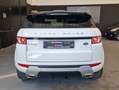 Land Rover Range Rover Evoque Range Rover Evoque 5p 2.2 td4 TECH PACK Bianco - thumbnail 5