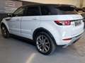Land Rover Range Rover Evoque Range Rover Evoque 5p 2.2 td4 TECH PACK Bianco - thumbnail 4