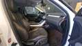 Land Rover Range Rover Evoque Range Rover Evoque 5p 2.2 td4 TECH PACK Bianco - thumbnail 8