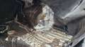 Alfa Romeo 155 1.8 T.Spark S Brons - thumbnail 14