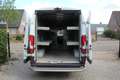 Fiat Ducato 35 3.0 Natural Power L4H2 Maxi Euro6 CNG Maxi Weiß - thumbnail 14