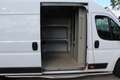 Fiat Ducato 35 3.0 Natural Power L4H2 Maxi Euro6 CNG Maxi Weiß - thumbnail 17