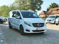 Mercedes-Benz V 250 d Edition lang+LED+ACC+KAMERA+8SITZER+ Weiß - thumbnail 5