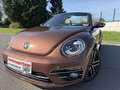 Volkswagen Beetle Beetle Cabriolet 1.2 TSI Dsg*75.000Kms!!!Garantie* Marrón - thumbnail 1