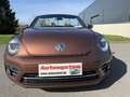 Volkswagen Beetle Beetle Cabriolet 1.2 TSI Dsg*75.000Kms!!!Garantie* Marrón - thumbnail 2