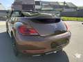 Volkswagen Beetle Beetle Cabriolet 1.2 TSI Dsg*75.000Kms!!!Garantie* Marrón - thumbnail 4