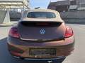 Volkswagen Beetle Beetle Cabriolet 1.2 TSI Dsg*75.000Kms!!!Garantie* Marrón - thumbnail 18