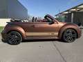 Volkswagen Beetle Beetle Cabriolet 1.2 TSI Dsg*75.000Kms!!!Garantie* Marrón - thumbnail 3