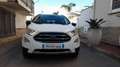 Ford EcoSport 1.5 TDCi 125 CV Start 4wd Bianco - thumbnail 5