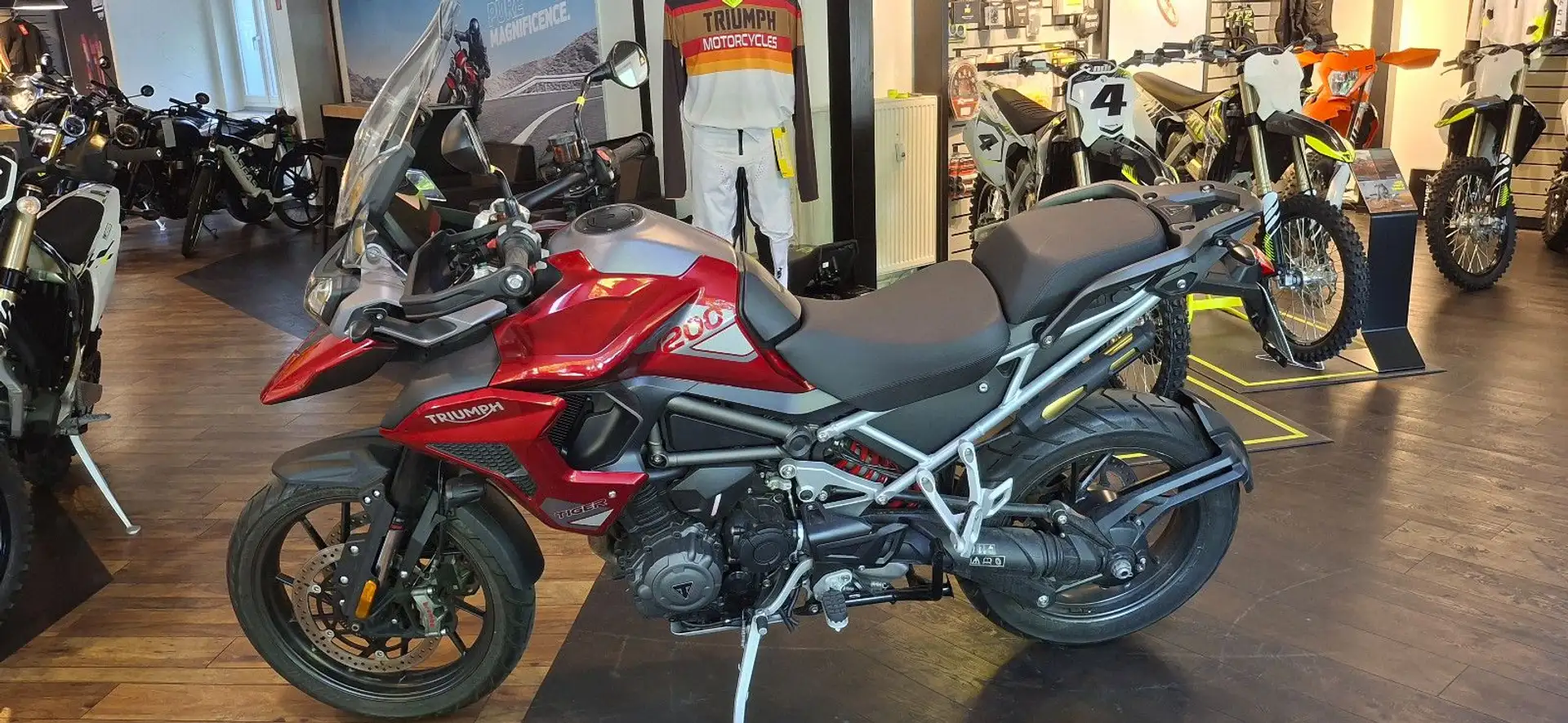 Triumph Tiger 1200 GT PRO NEUZUGANG TOP - 2