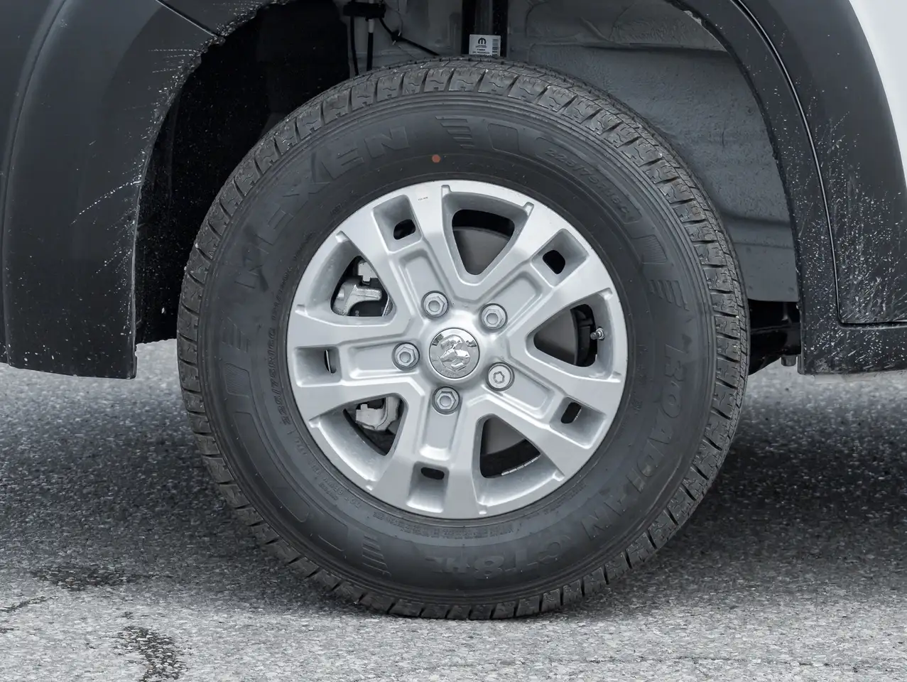 RAM Promaster снимка RAM Promaster