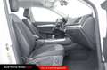 Audi Q5 50 TFSI e quattro S tronic Business Advanced Bianco - thumbnail 8