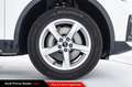 Audi Q5 50 TFSI e quattro S tronic Business Advanced Bianco - thumbnail 11