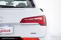 Audi Q5 50 TFSI e quattro S tronic Business Advanced Bianco - thumbnail 13