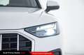 Audi Q5 50 TFSI e quattro S tronic Business Advanced Bianco - thumbnail 12