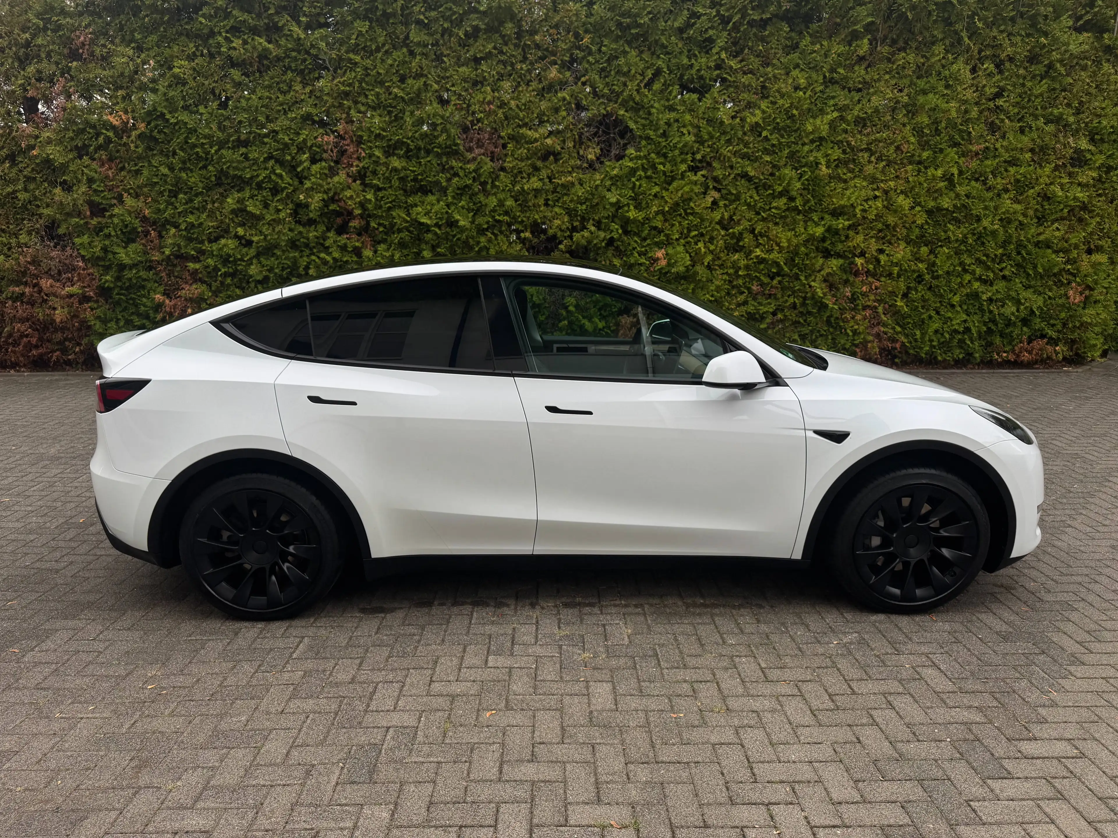 Tesla Model Y Long Range Dual AWD — photo 7
