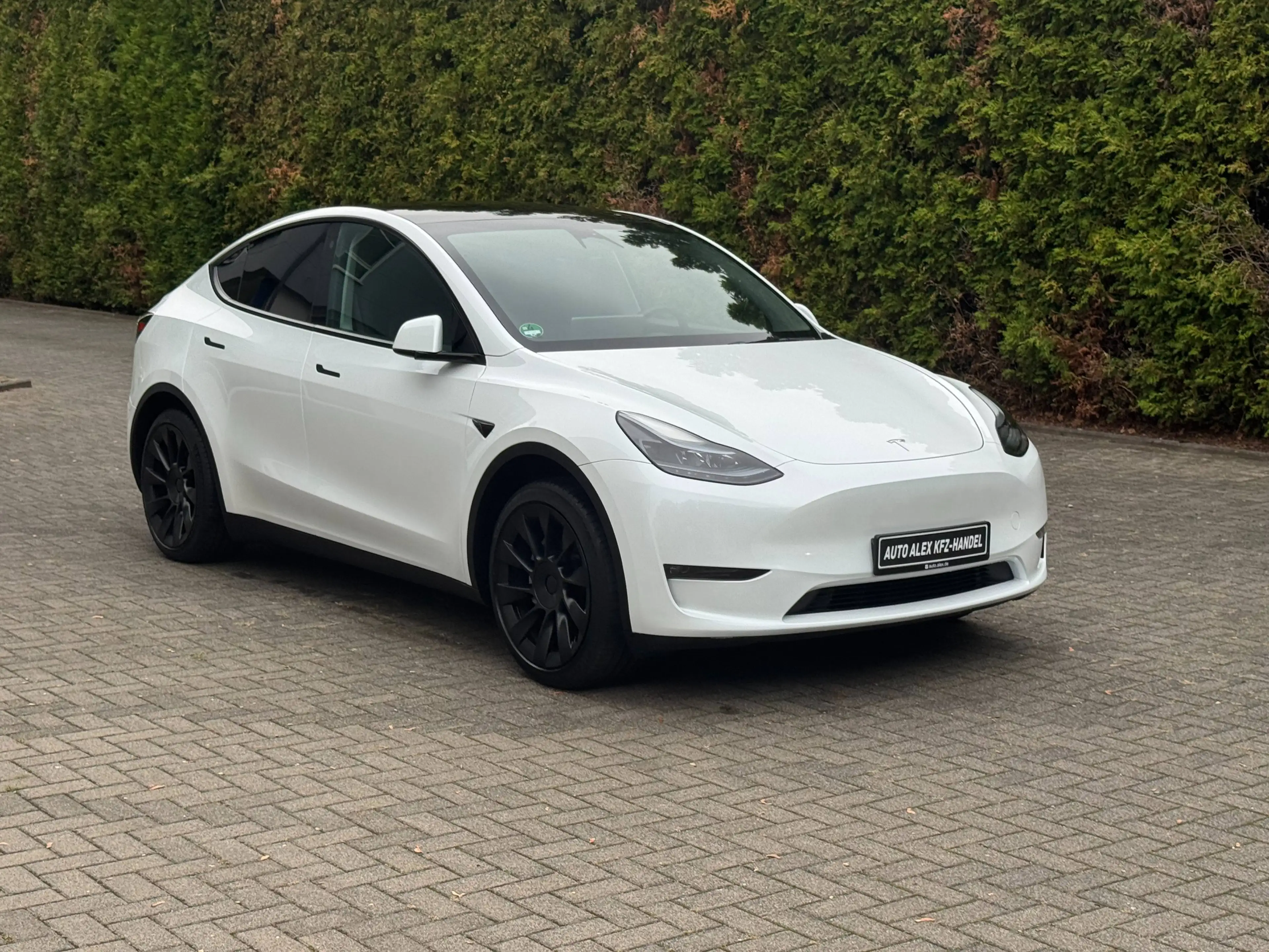 Tesla Model Y Long Range Dual AWD — photo 3