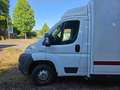 Fiat Ducato Ducato Maxi 282.853 Beyaz - thumbnail 21