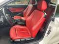 BMW 228 i Sport Line Cabrio LederRot NAVIPROF Blanc - thumbnail 16